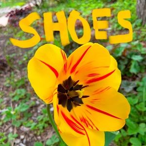 Sandals and Misc Shoes